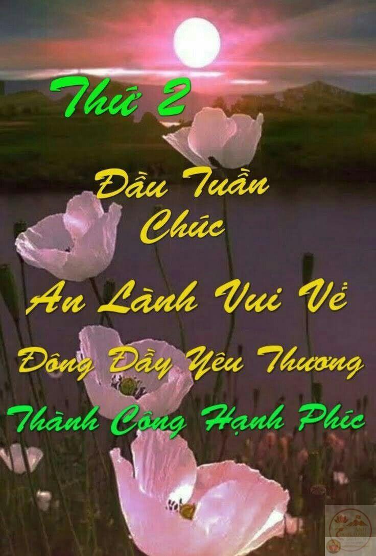 Chào các ngày trong tuần bằng một thông điệp dễ thương sẽ khiến ai cũng thích