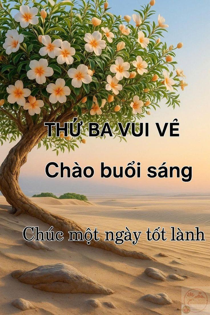 Chào các ngày trong tuần bằng nụ cười giúp mọi kế hoạch diễn ra suôn sẻ