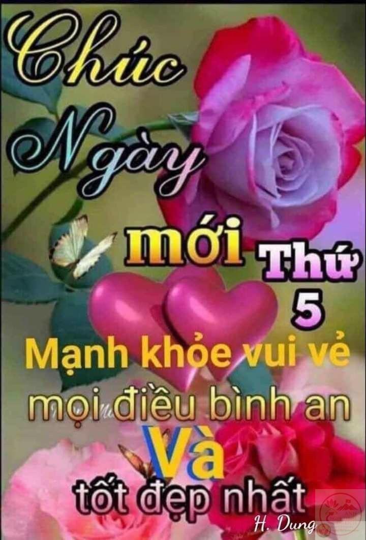 Hãy gửi đi một bức ảnh chế vui nhộn để tuần trở nên sinh động và thoải mái