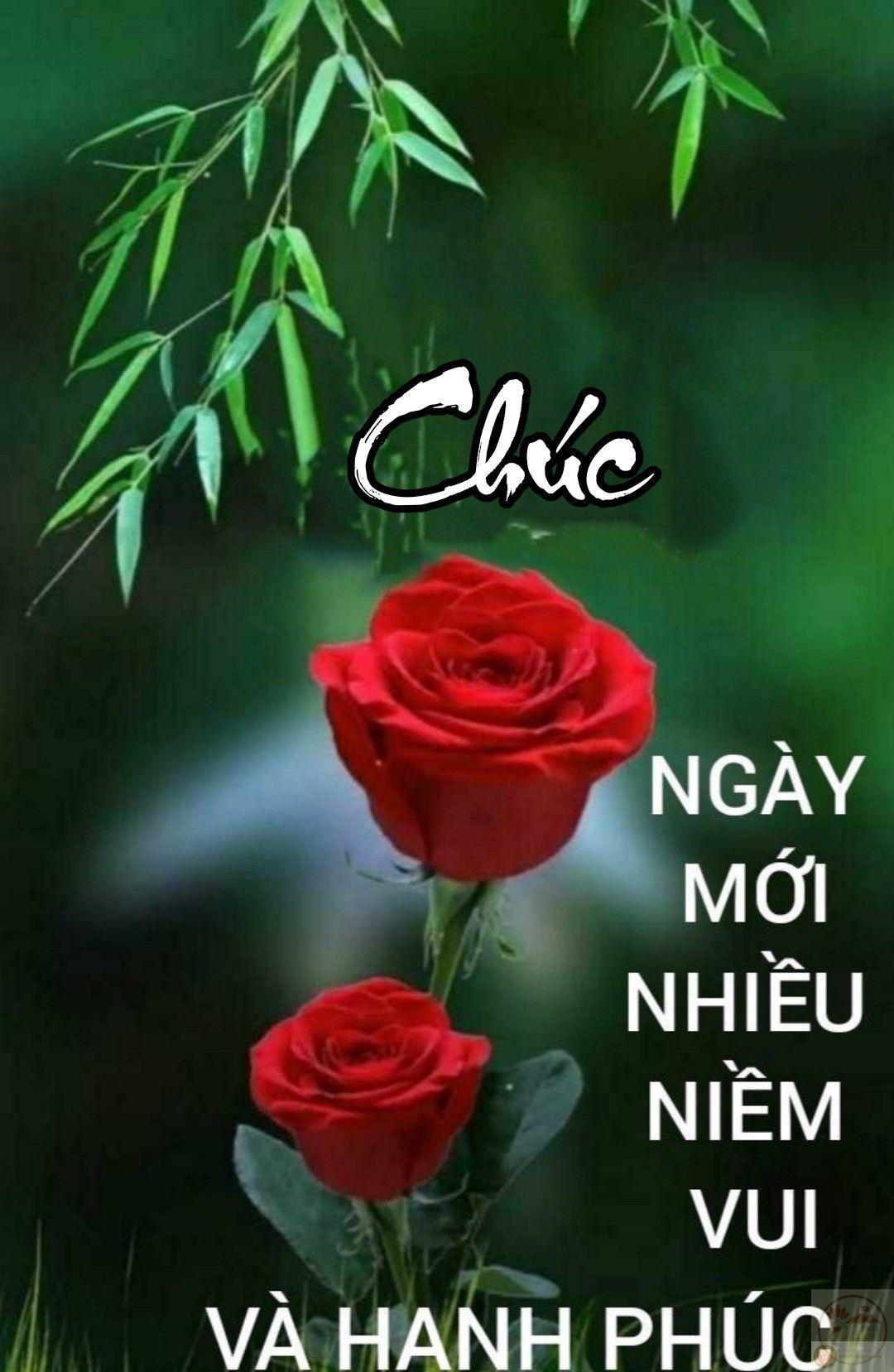 Meme vui nhộn thường giúp khởi động buổi sáng bằng sự nhẹ nhàng dí dỏm