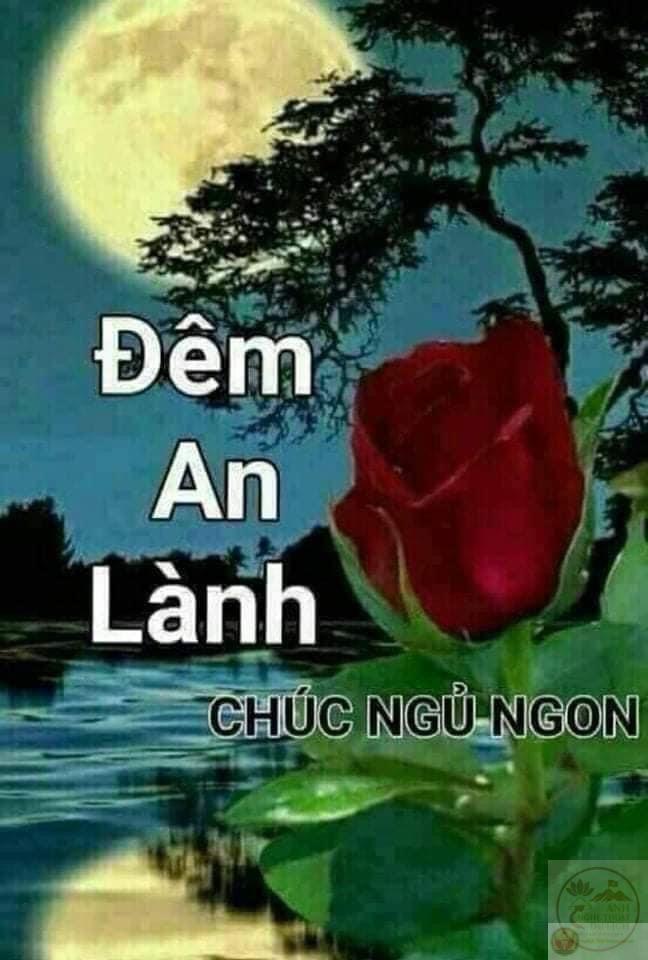 Một tách trà nóng cũng đủ làm tinh thần buổi sáng trở nên sảng khoái hơn