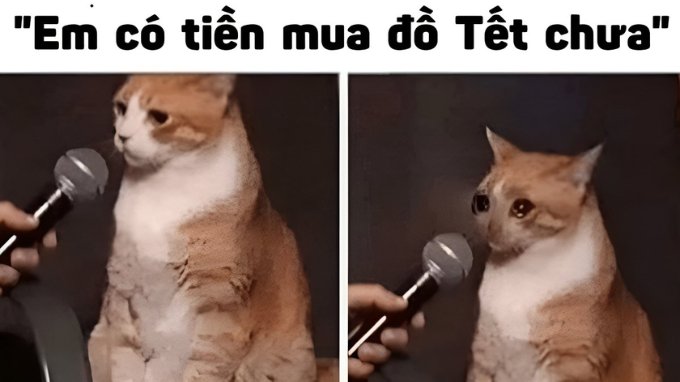 Tổng hợp 50+ meme Tết hài hước, vui vẻ chúc mừng năm mới