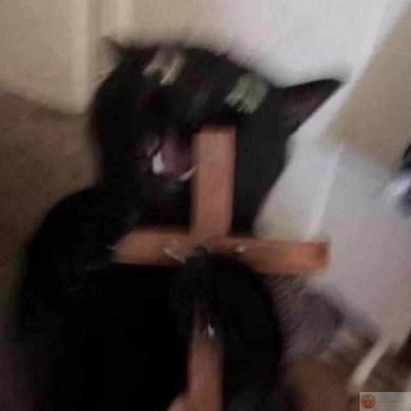 Caption như lời nguyền, đưa thánh giá đây coi