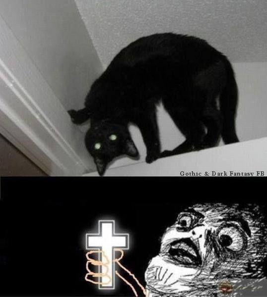 Lướt ba giây là thấy cần phải trừ quỷ liền