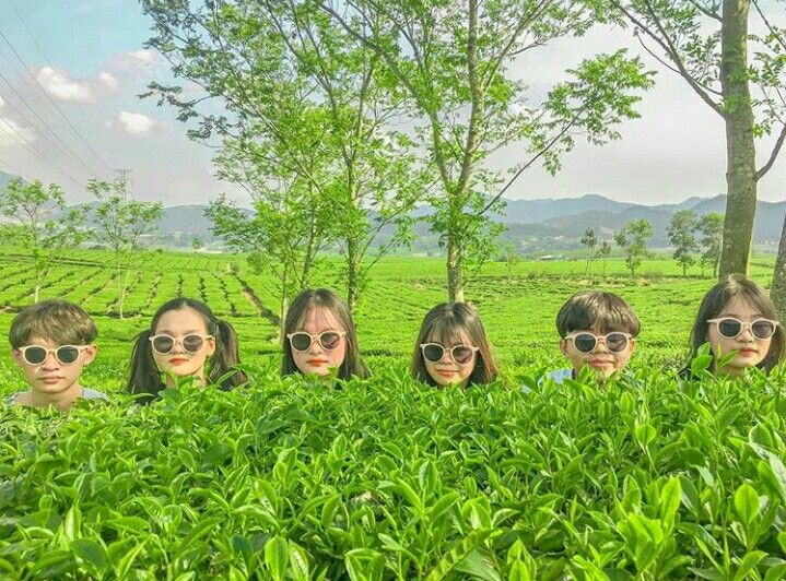 Team mình chuyên gia phá dáng