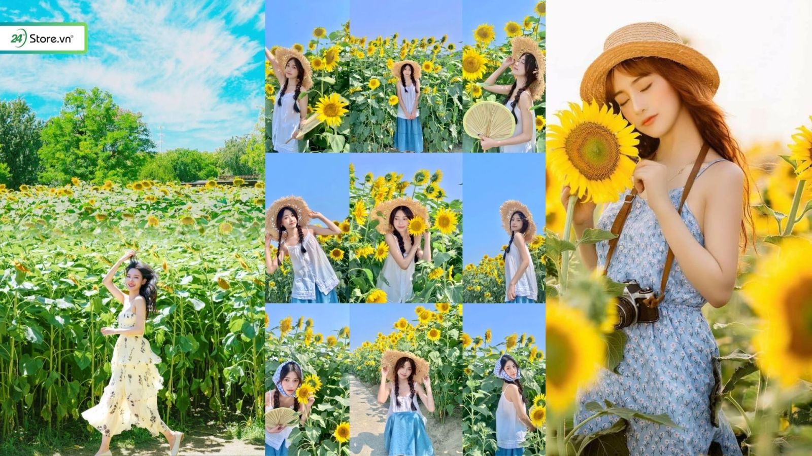 chụp ảnh với hoa hướng dương