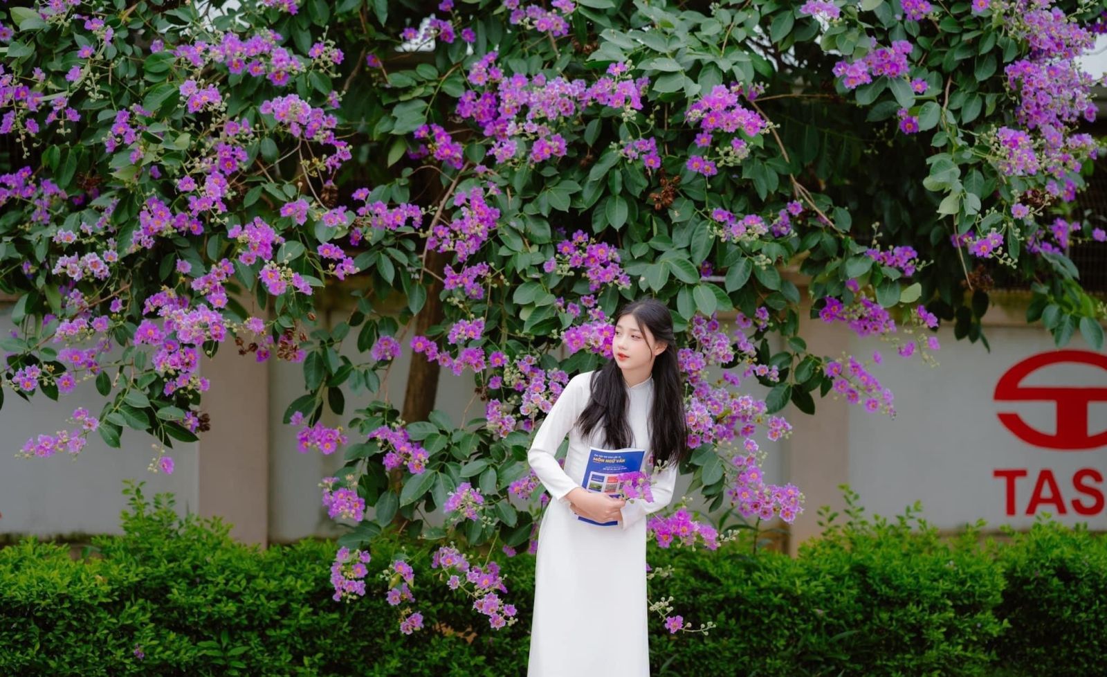 chụp ảnh với hoa