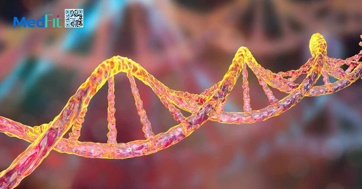 di truyền đóng vai trò quan trọng trong việc xác định tốc độ chuyển hóa