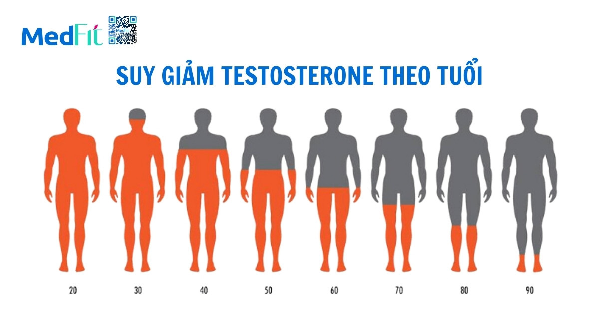 sự suy giảm hormone theo tuổi có thể làm giảm bmr