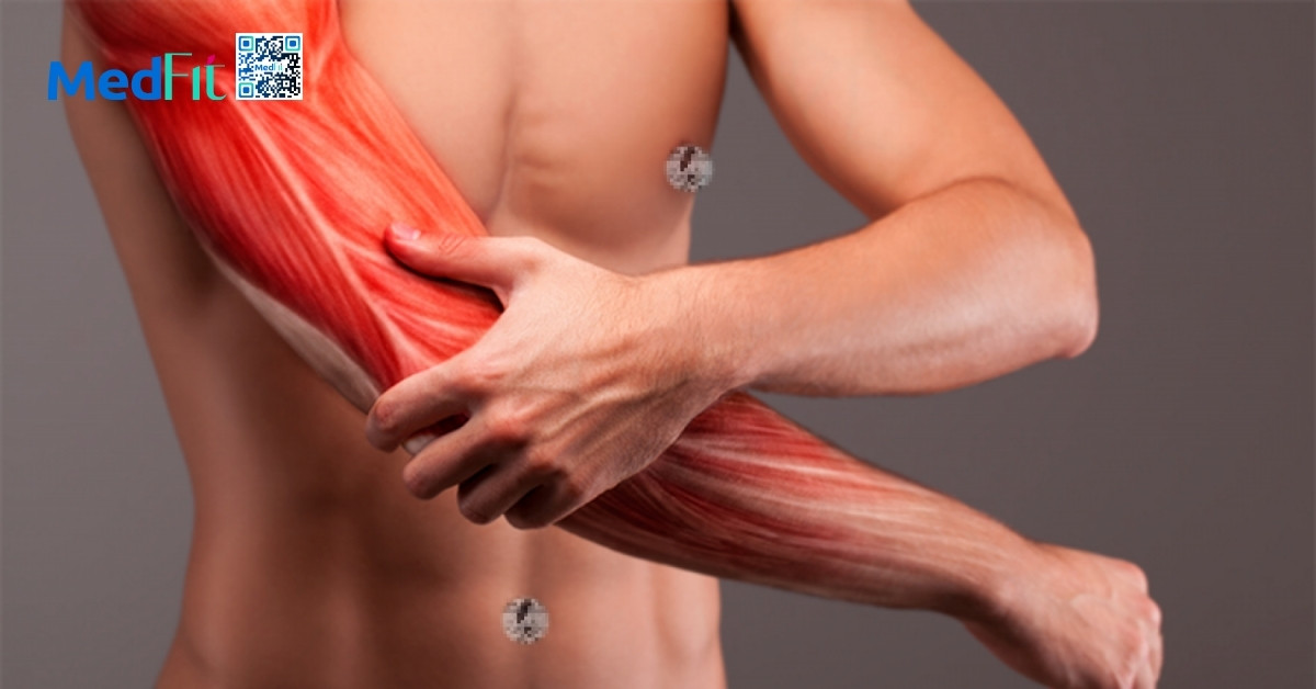 người có khối lượng cơ cao hơn sẽ có bmr cao hơn