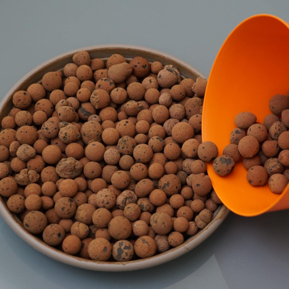 Trong Cay Khong Can Dat Ban Da Thu Chua 6