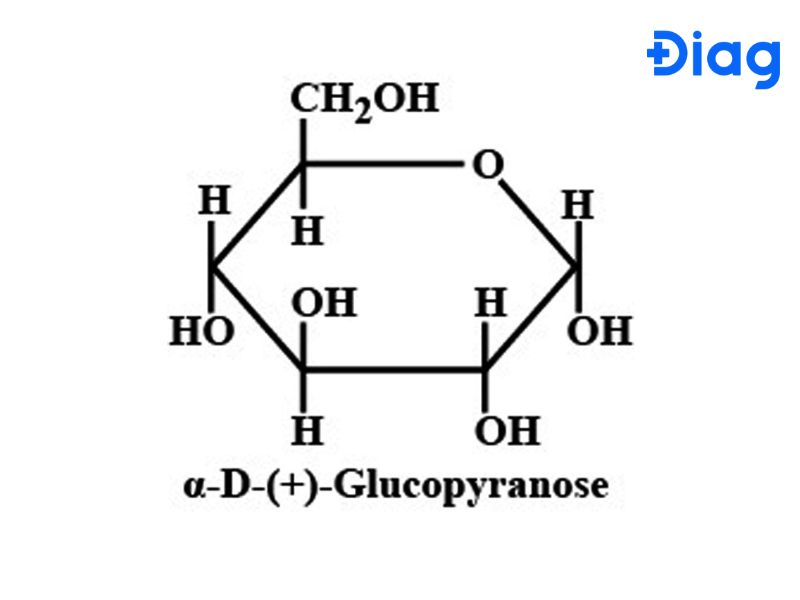 Pyranose là dạng vòng 6 cạnh phổ biến nhất của glucose.