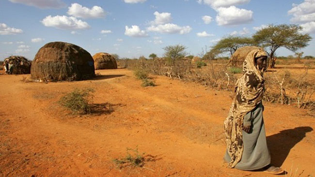 Dạng địa hình chủ yếu của Châu Phi là?