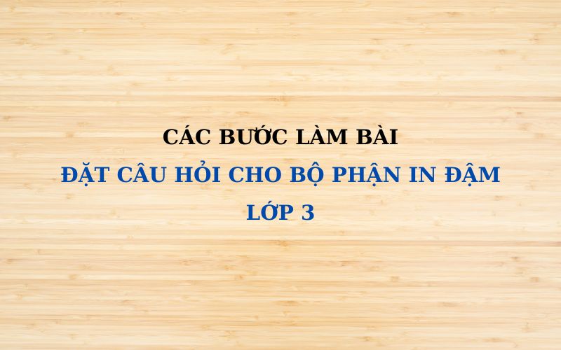 Đặt câu hỏi cho bộ phận in đậm lớp 3: Lý thuyết & bài tập chi tiết