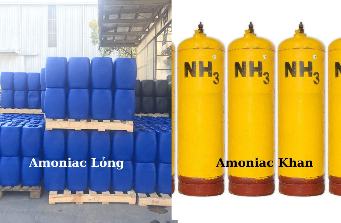 phan-biet-nh3-khan-vs-dung-dich