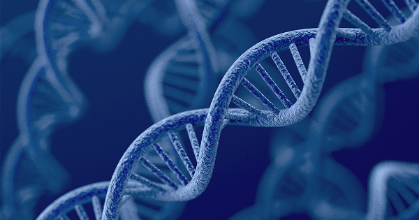 Gen là gì? Đột biến gen là gì? Cấu trúc của gen, DNA, RNA