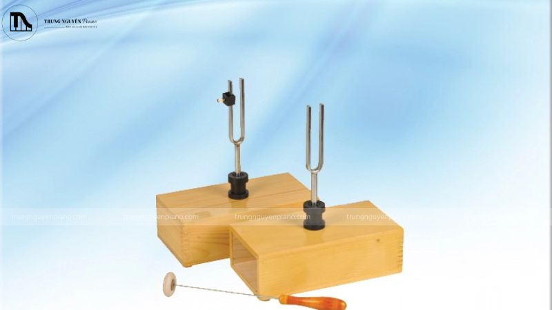 Hộp cộng hưởng là gì? Vai trò của hộp cộng hưởng trong nhạc cụ