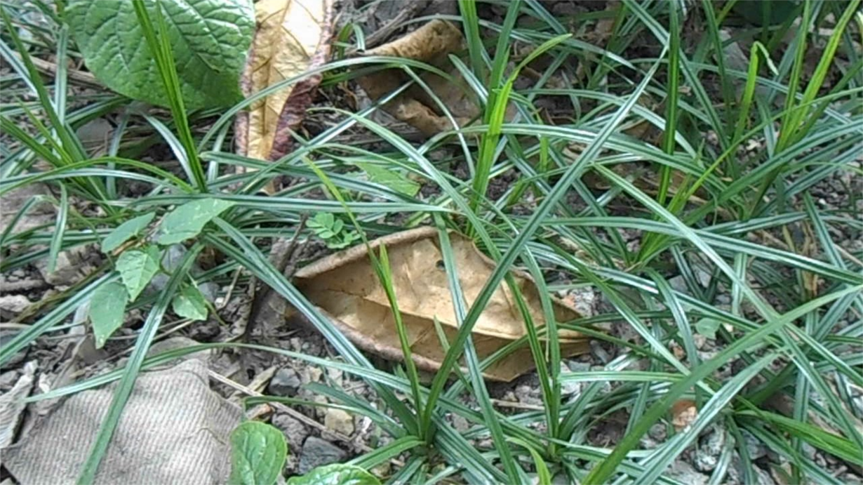 TRẠM Y TẾ XÃ ĐÔNG THẠNH