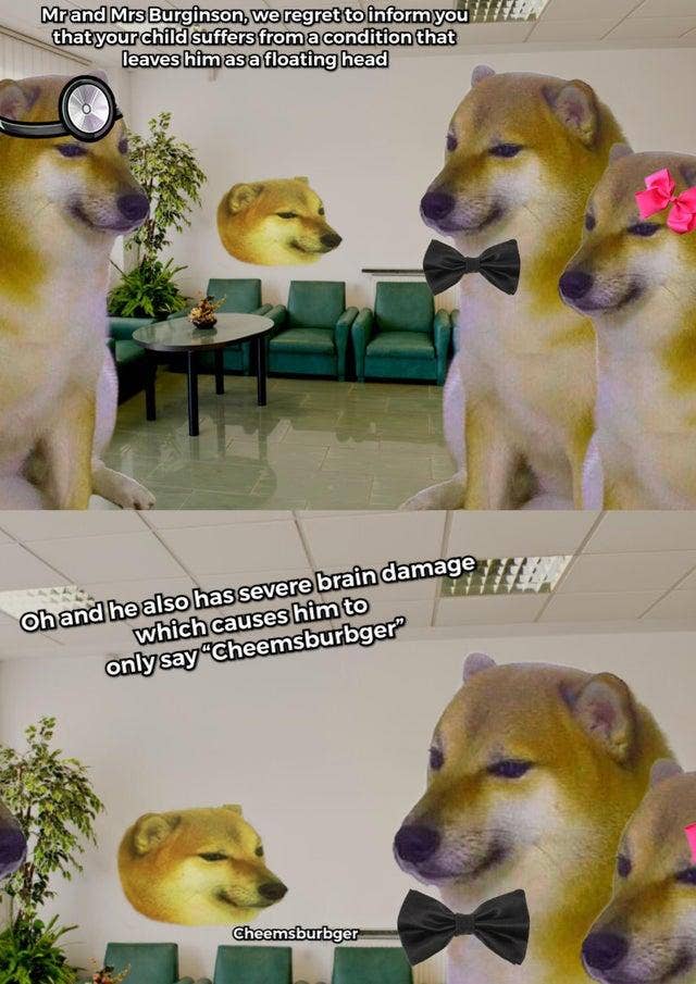 Tổng hợp các meme cheems thú vị nhất