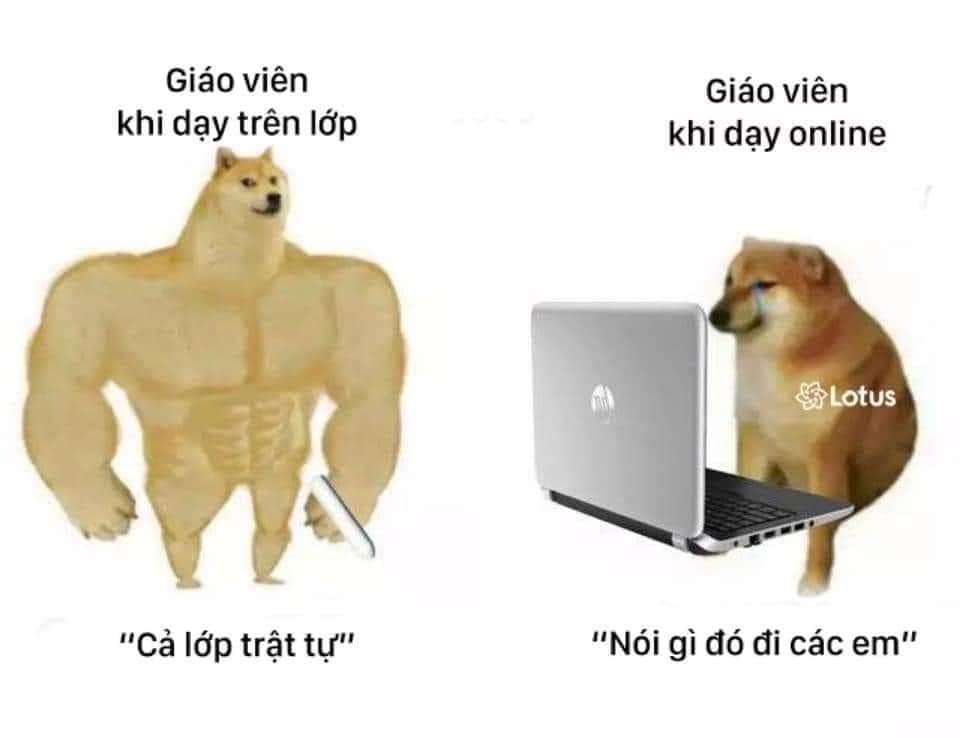 Một số cheems khác