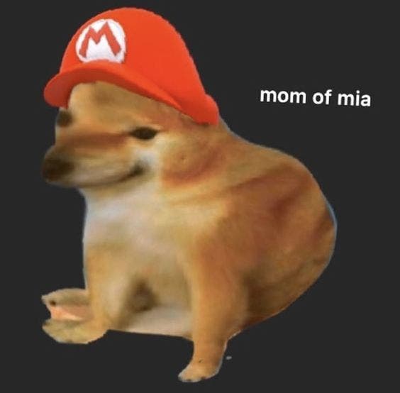 Chú chó Cheems cosplay