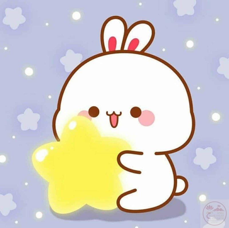 Thỏ anime hồn nhiên