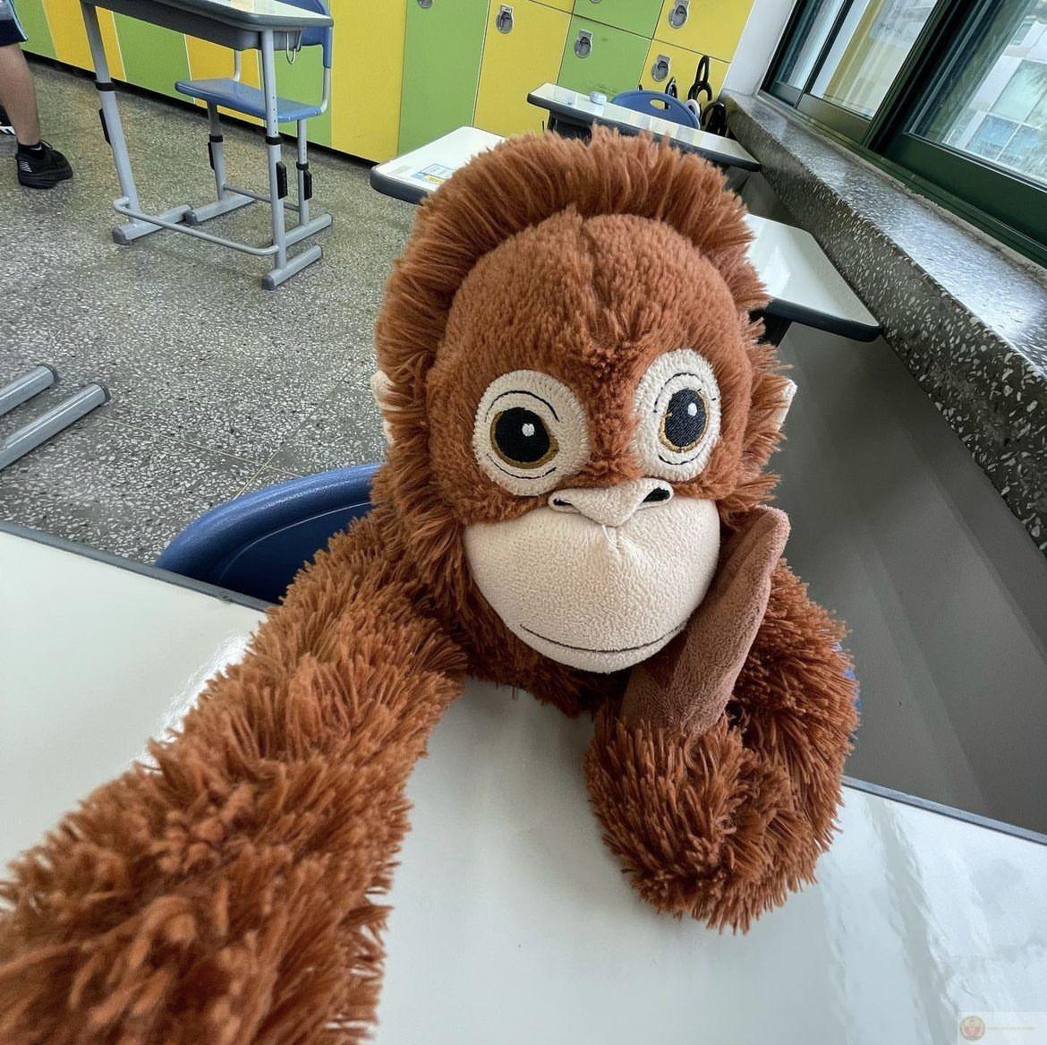 Meme khỉ đưa tay