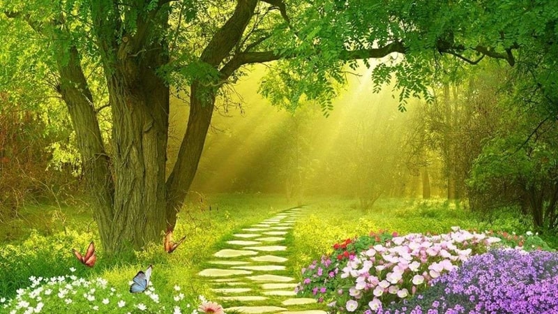 Mẫu tranh phong cảnh 3D độc đáo 2