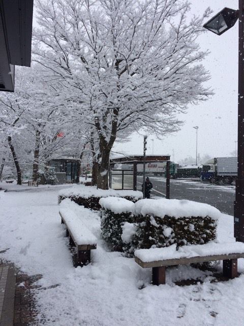 Hình ảnh: Mùa đông ở tỉnh Miyagi Nhật Bản (Phần 1)