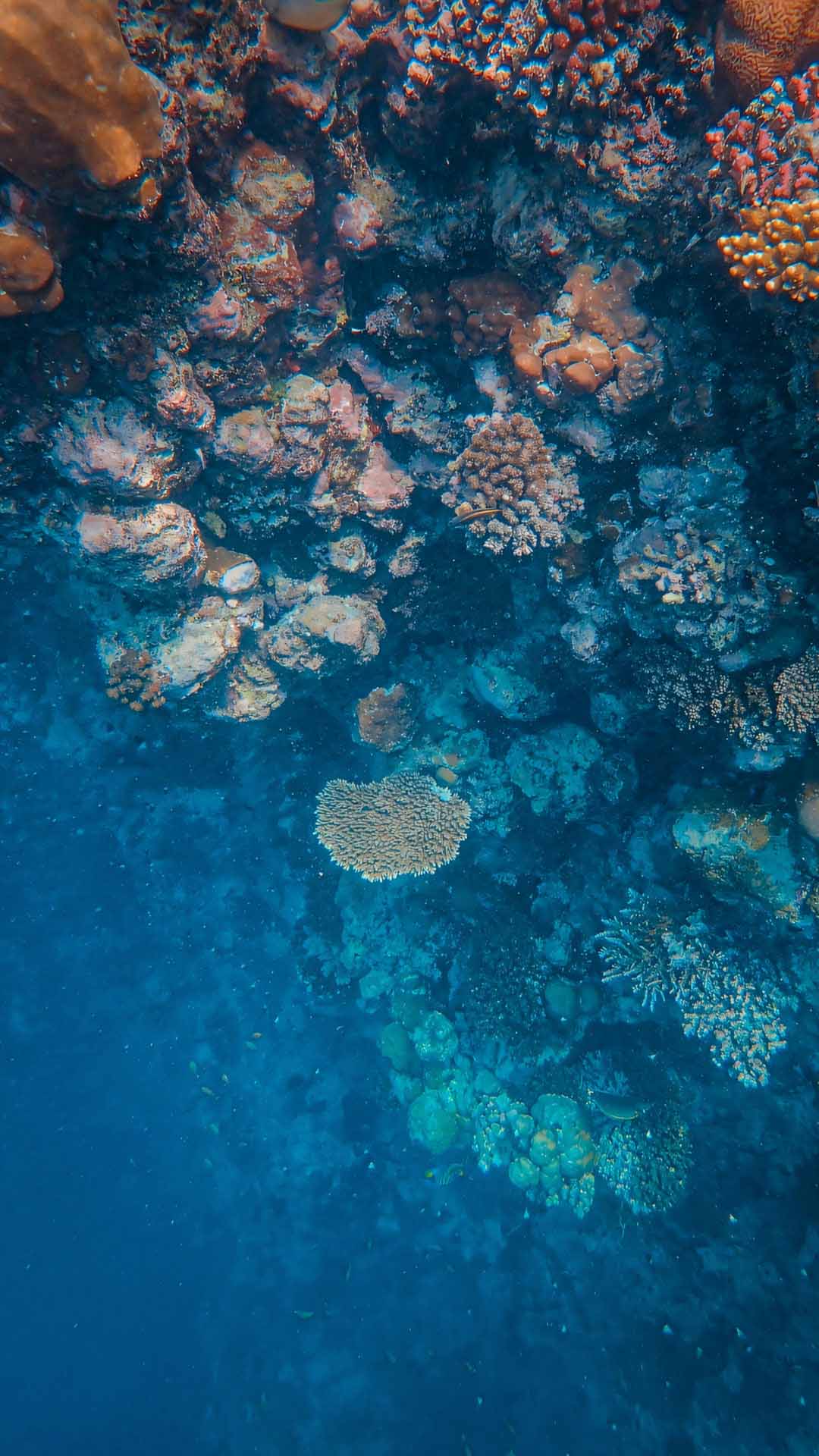 hinh anh day bien buon 1920px 1080px full hd 10