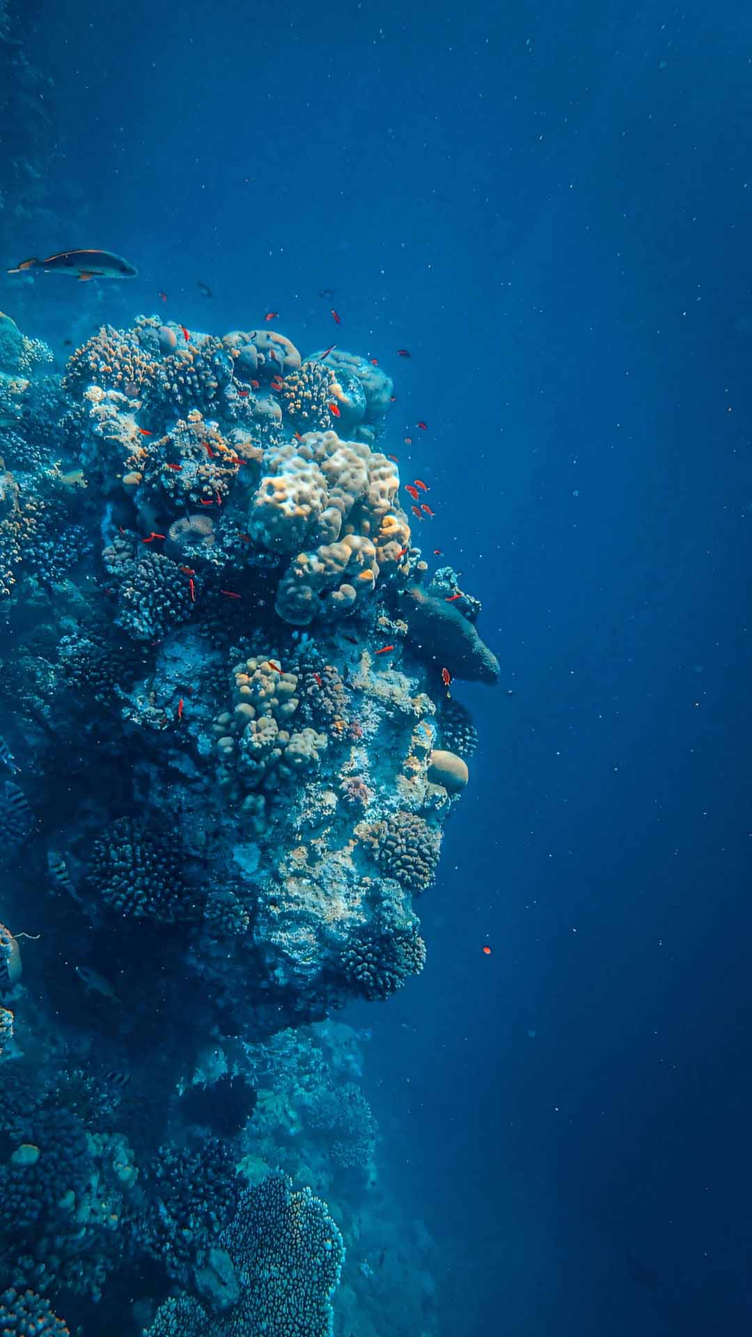 hinh anh day bien buon 1920px 1080px full hd 9