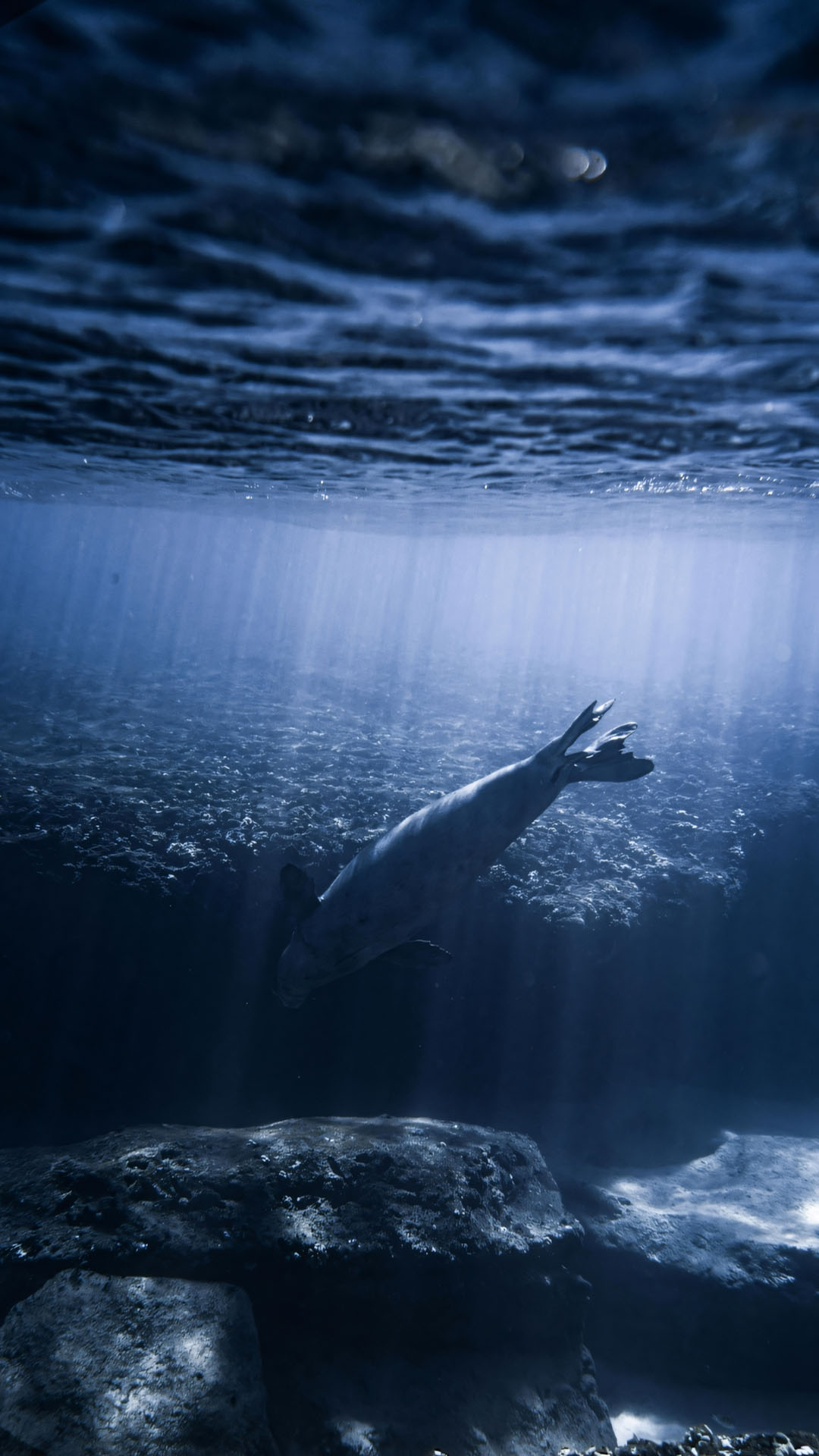 hinh anh day bien buon 1920px 1080px full hd 8