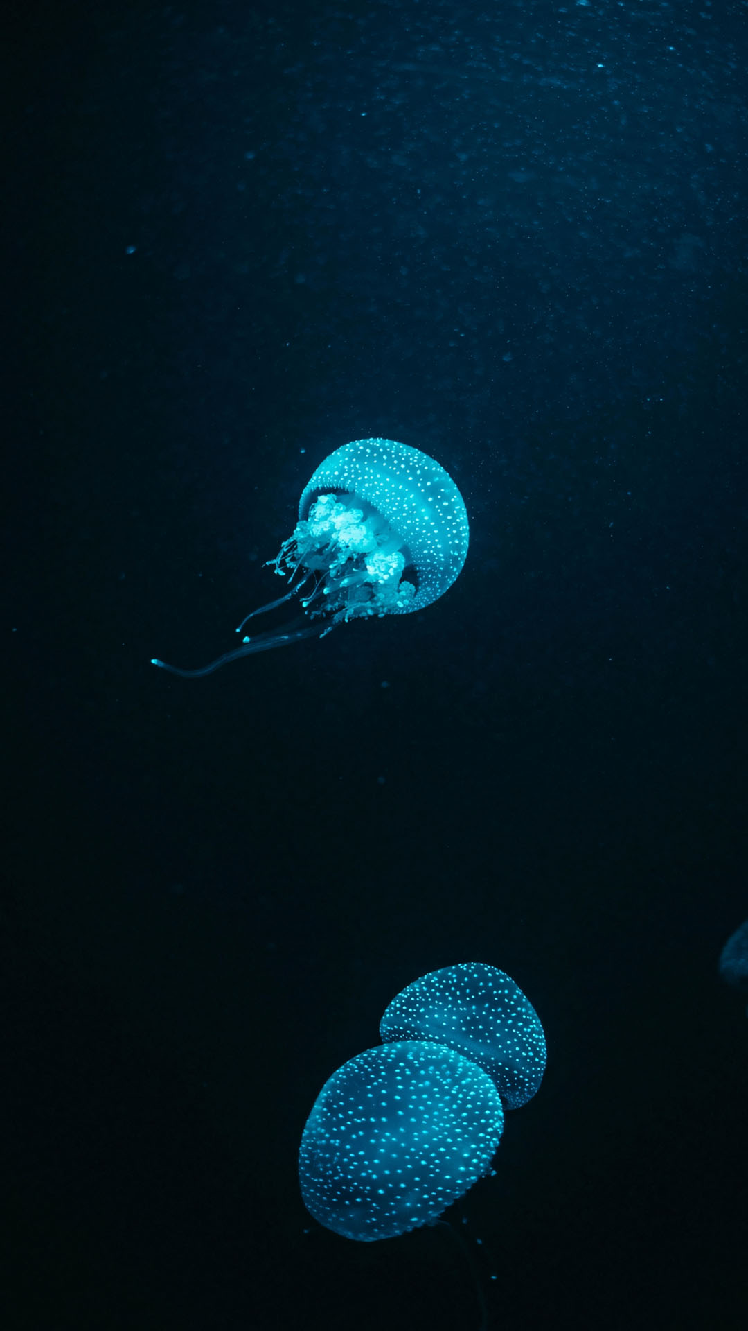 hinh anh day bien buon 1920px 1080px full hd 7