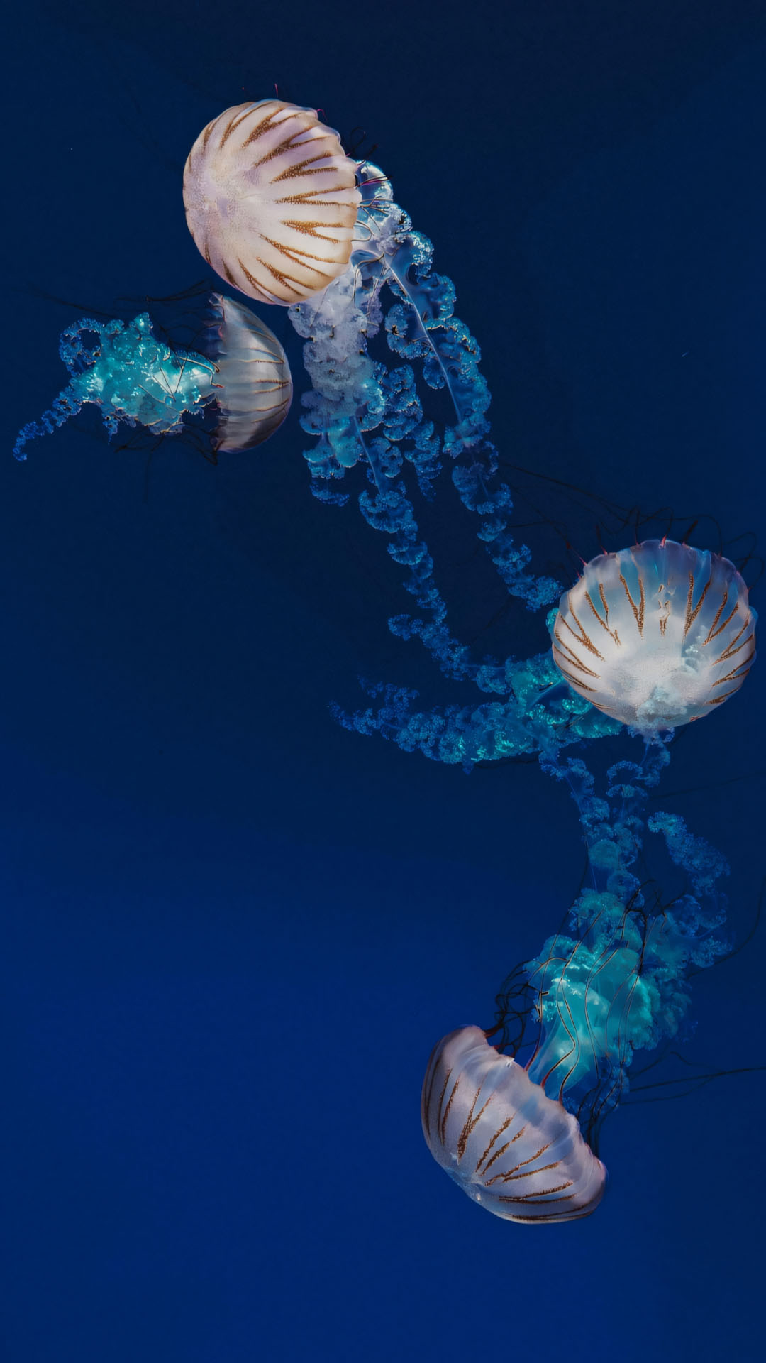 hinh anh day bien buon 1920px 1080px full hd 6