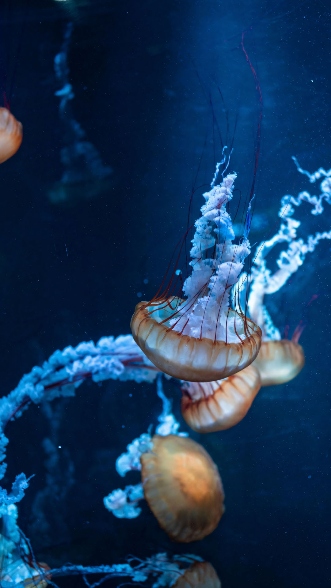 hinh anh day bien buon 1920px 1080px full hd 5