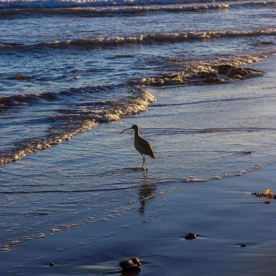 hinh anh bien dep buon avatar 960px 960px avatar 3