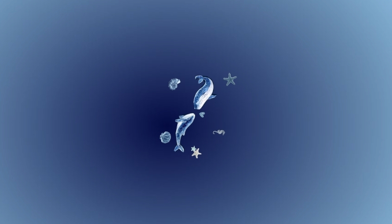 ảnh nền tình yêu ngắm sao băng