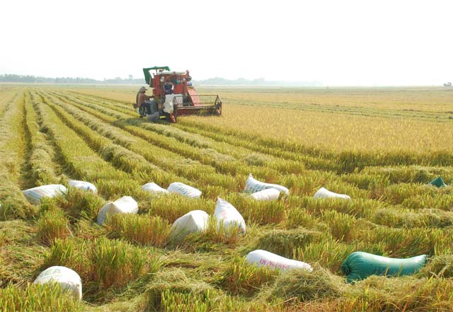 Đồng quê Việt Nam trên tờ tiền 200 đồng