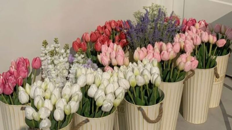 Hình nền hoa tulip chill cho máy tính