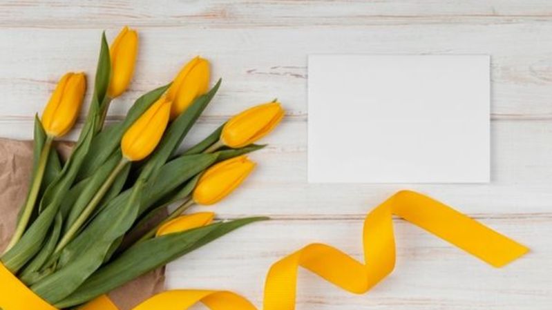 Hình nền hoa tulip chill cho laptop