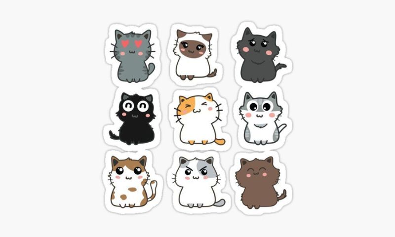 20 Mẫu sticker mèo cute dễ thương được yêu thích 2026