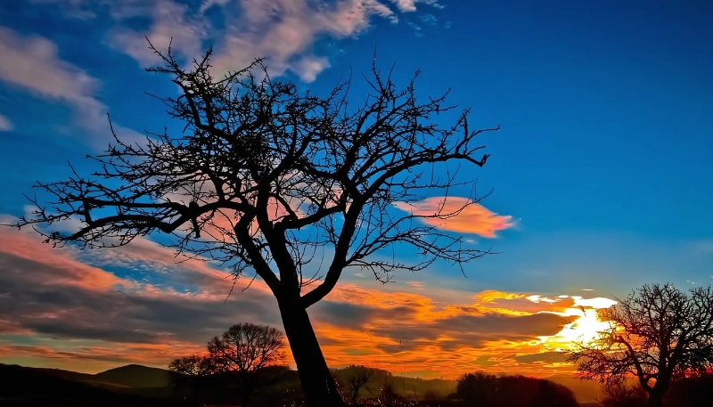 Hình nền buồn cô đơn