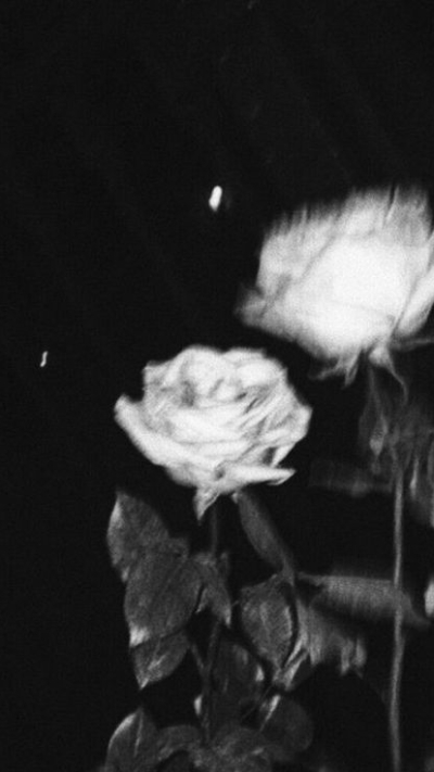 Ảnh buồn phong cảnh