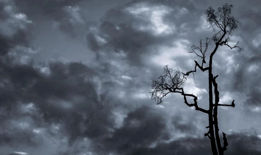 Wallpaper buồn cho Facebook, Zalo