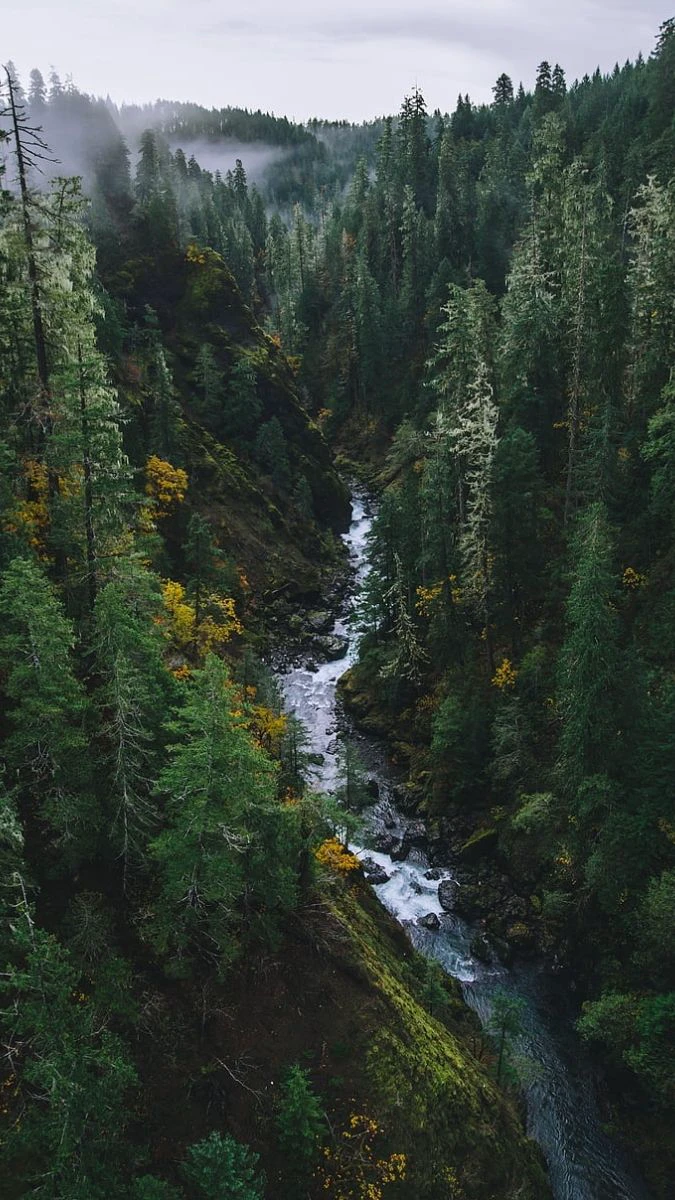 Ảnh nền buồn phong cảnh