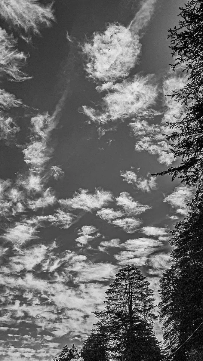 Ảnh nền buồn phong cảnh cho điện thoại