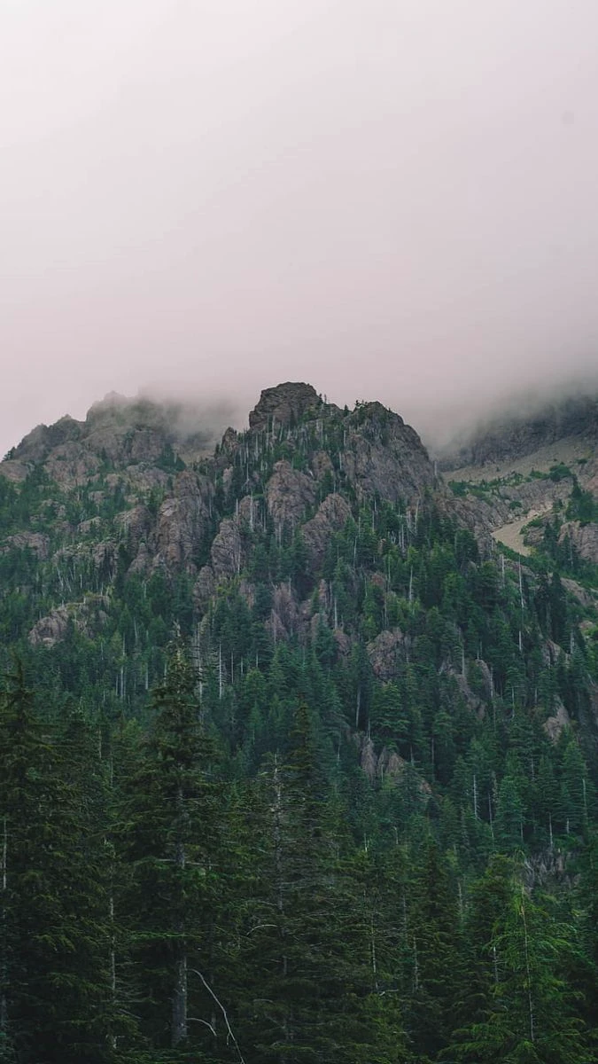 Ảnh nền buồn phong cảnh núi rừng