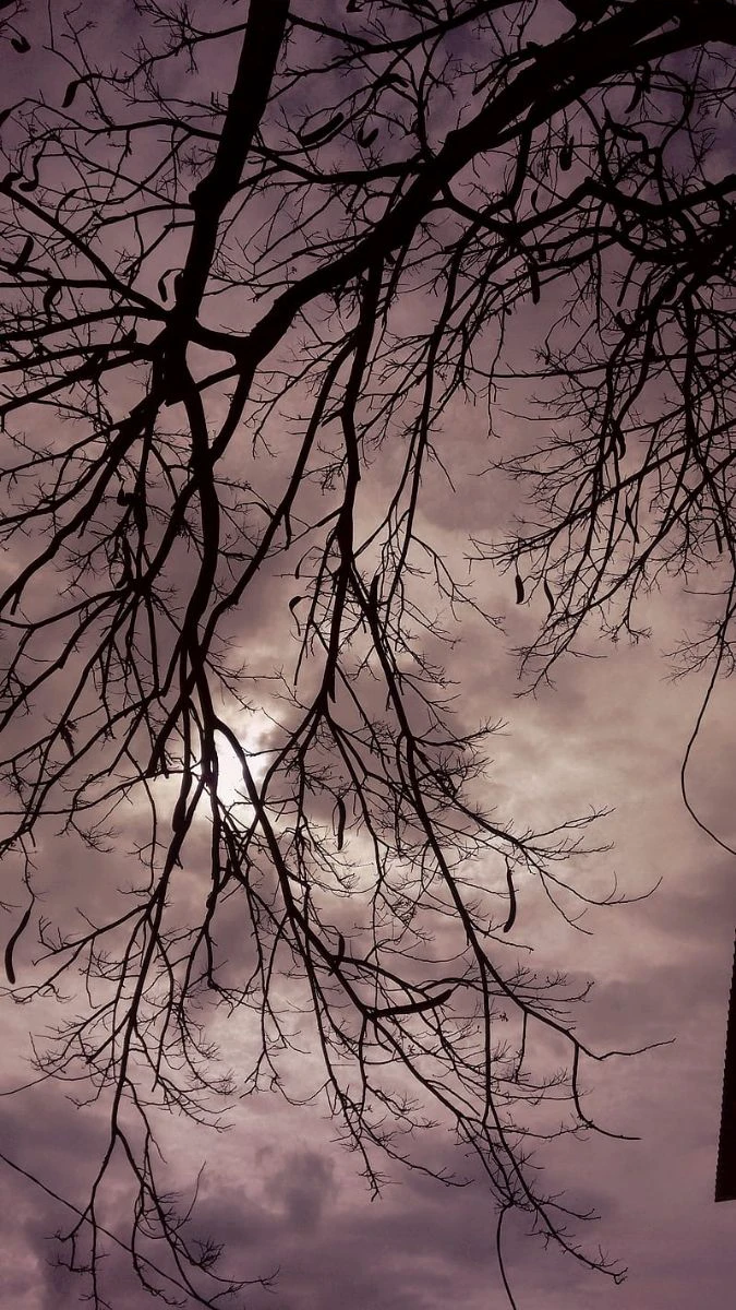 Ảnh nền buồn phong cảnh chiều tàn