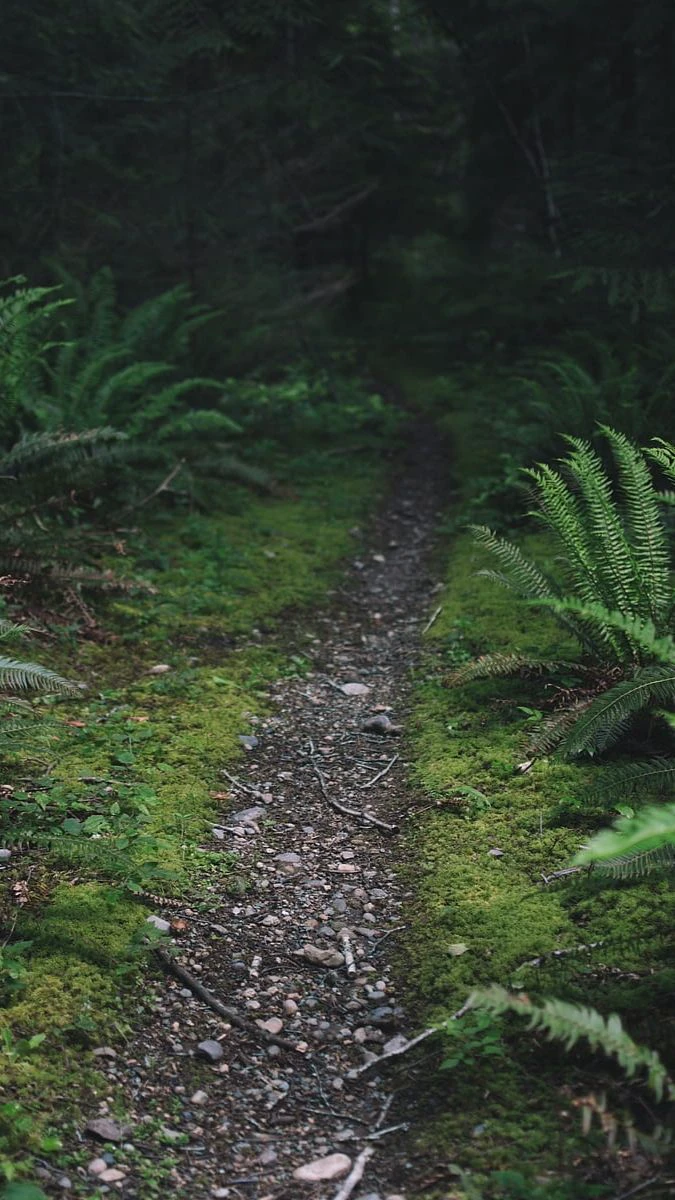 Wallpaper buồn phong cảnh