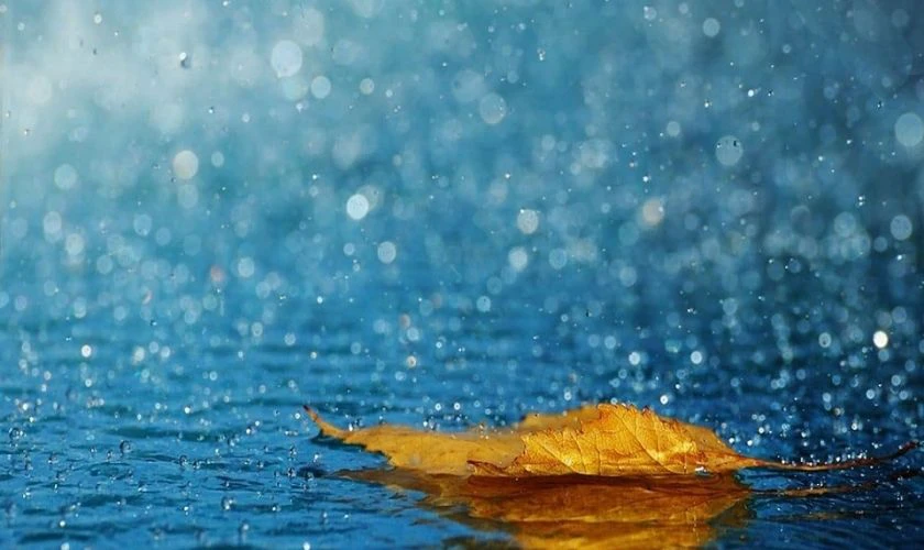 Hình nền buồn mưa